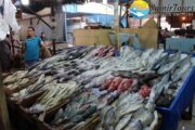 Fisch Market in Hurghada Stadtrundfahrt