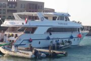 Delphintour in Hurghada